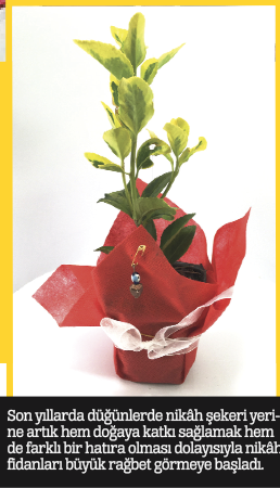 Evleniyoruz mutluyuz